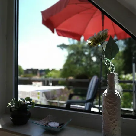 In-Der-Lueneburger-Heide-Ferienwohnung-Heideweg