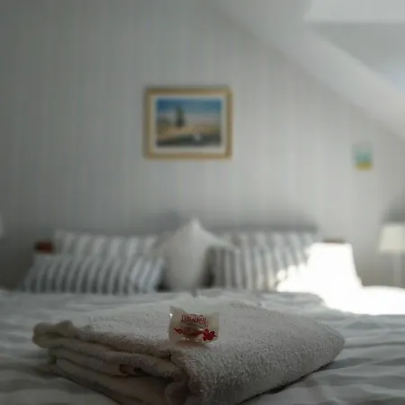 In-Der-Lueneburger-Heide-Ferienwohnung-Heideweg Schneverdingen